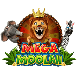 Mega Moolah banner new